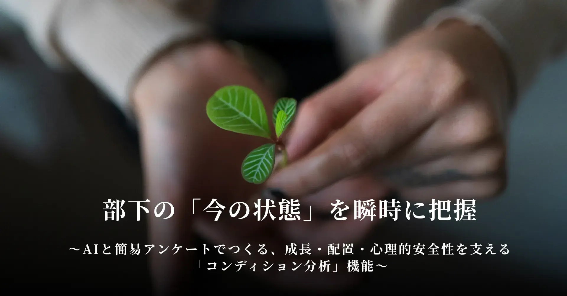 部下の「今の状態」を瞬時に把握。 AIと簡易アンケートでつくる、成長・配置・心理的安全性を支える「コンディション分析」機能