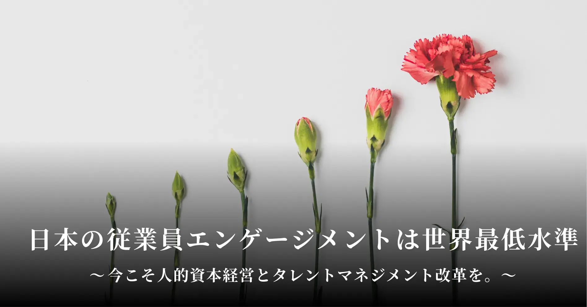 日本の従業員エンゲージメントは世界最低水準。今こそ人的資本経営とタレントマネジメント改革を。