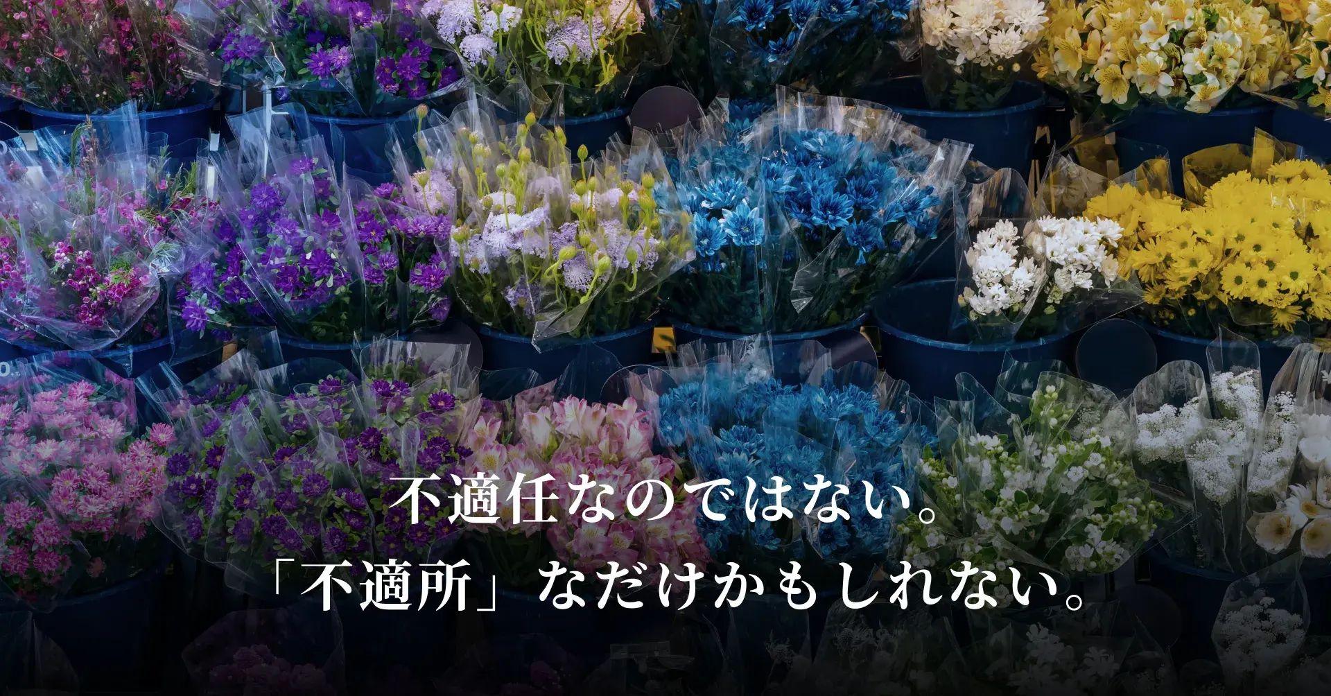 不適任なのではない。「不適所」なだけかもしれない。
